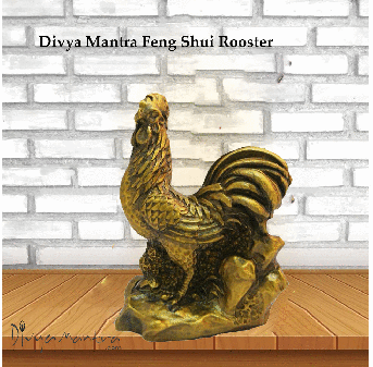 divya-mantra-feng-shui-rooster
